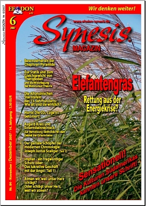 Synesis Magazin Nr. 6/2007