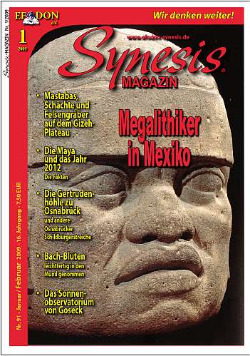 Synesis Magazin Nr. 1/2009