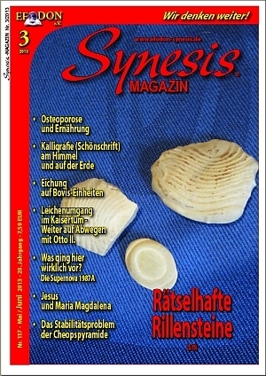 Synesis Magazin Nr. 3/2013