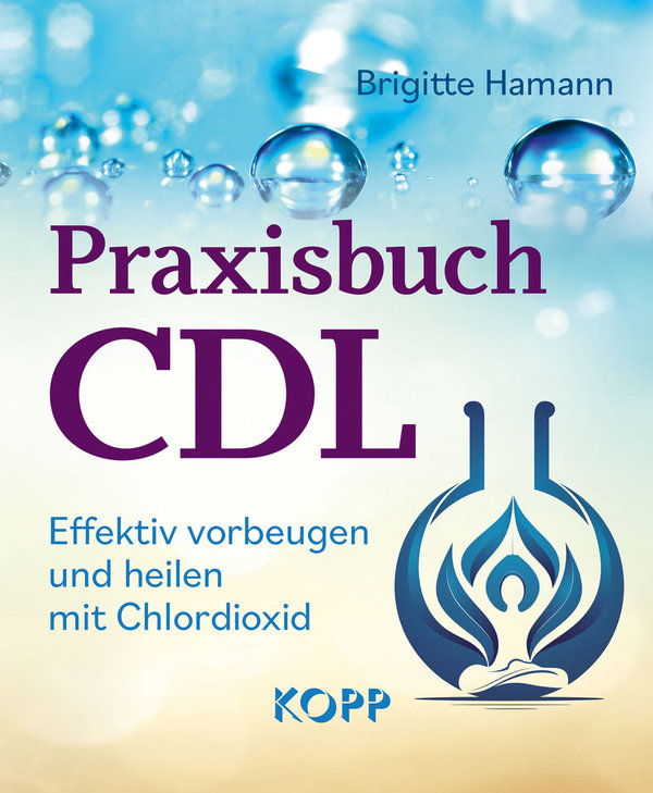 "Praxisbuch CDL" Brigitte Hamann